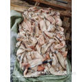 Neue Ankunft Gefrorene Tintenfisch TODARODES Pacificus Squid 60-80G